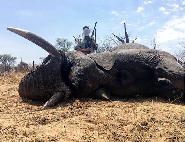 zimbabwe-23