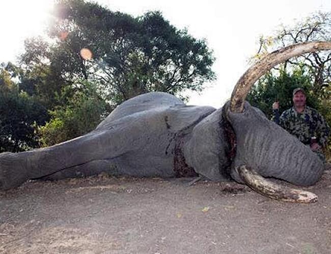botswana