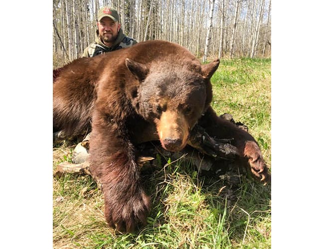 british-columbia-17