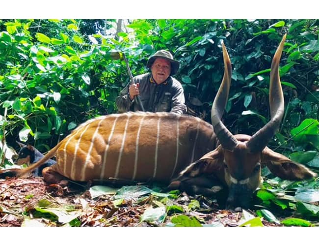 cameroon-30