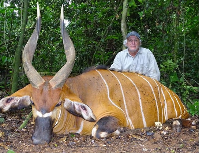 congo-1