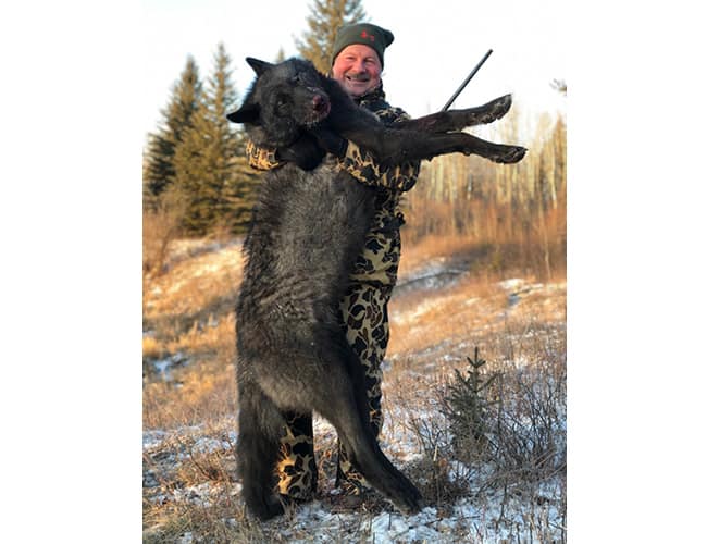 alberta-36