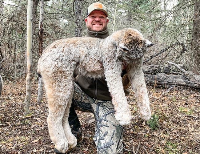 british-columbia-32