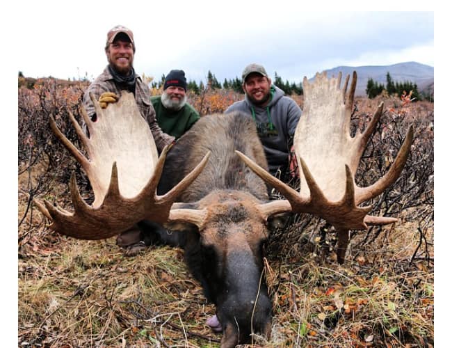 nwt-17