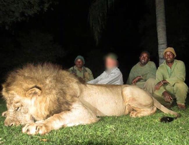 zimbabwe-59