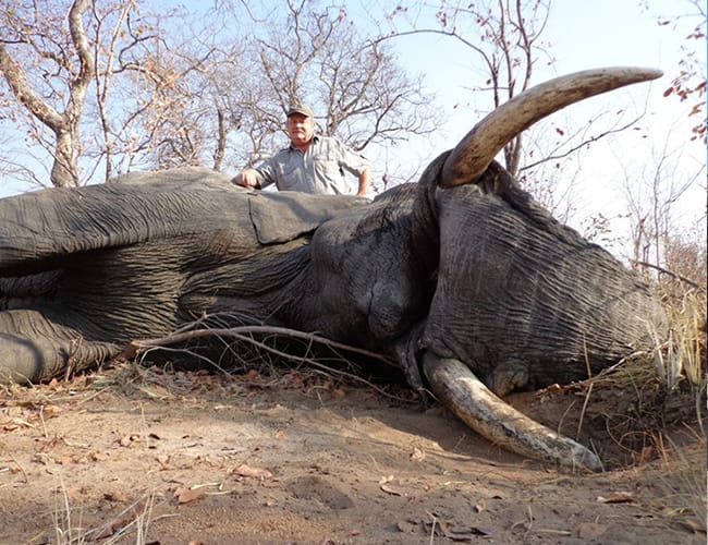 botswana-38