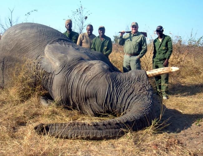 botswana-60