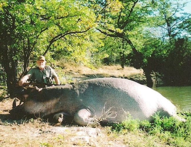 mozambique-50