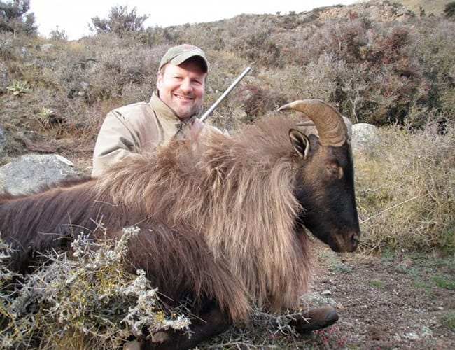 new-zealand-22