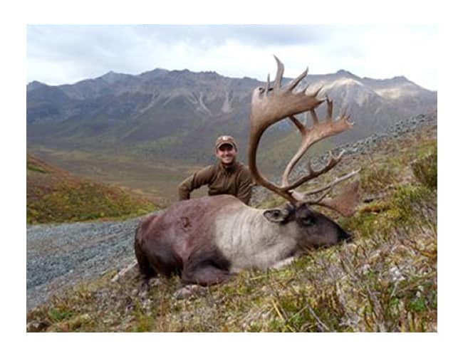 nwt-19