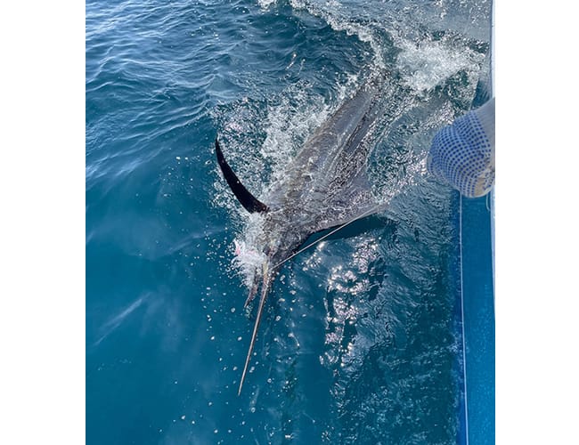 panama-fishing-1