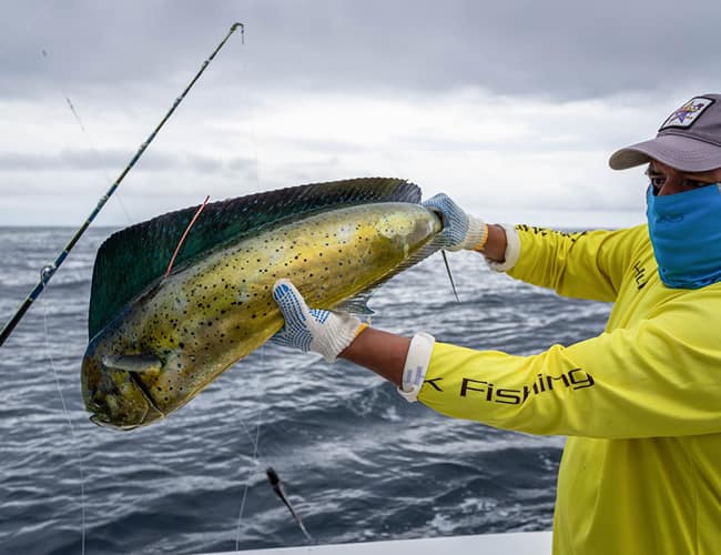 panama-fishing-6