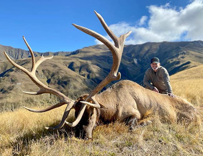 new-zealand-34