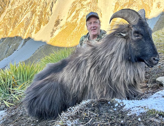 new-zealand-35