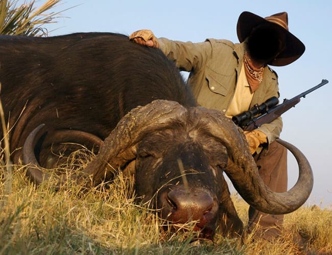 botswana-36cs