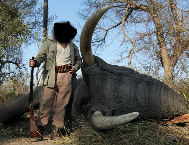 botswana-4cs