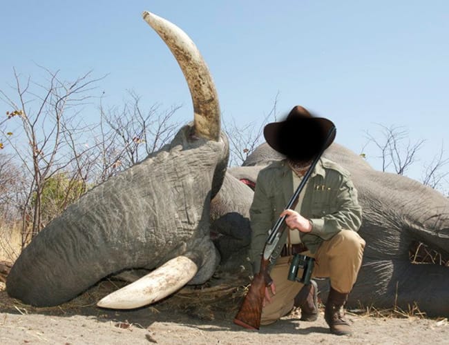 botswana-54cs