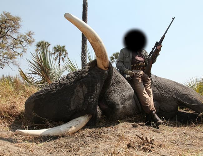 botswana-55cs