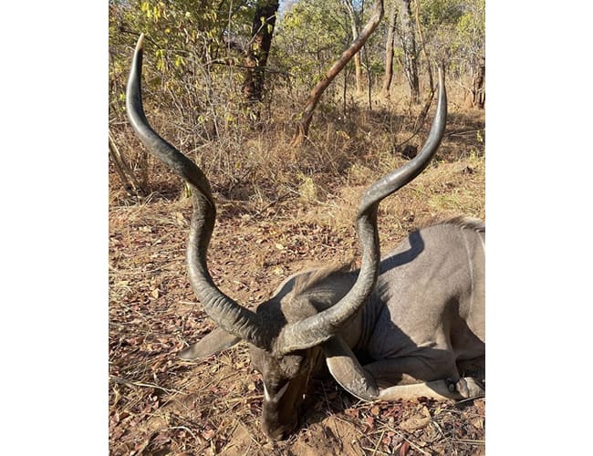 zambia-279