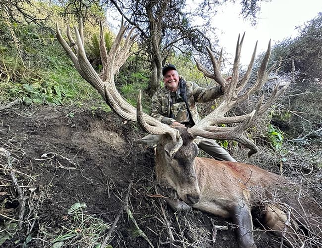 new-zealand-36