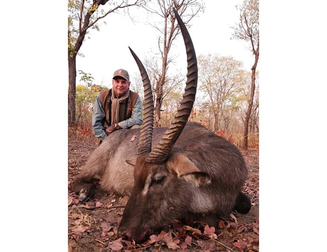 zambia-378