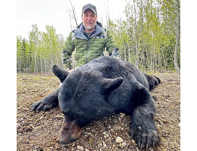 alberta-42