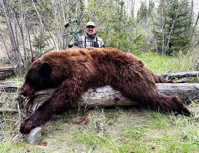 british-columbia-92