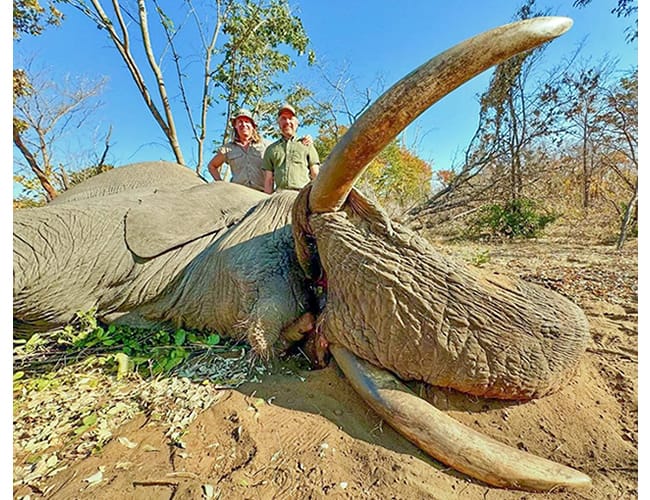 zimbabwe-89