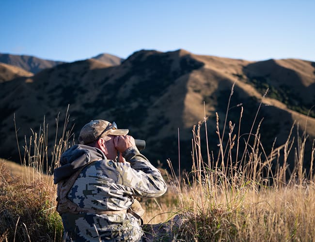 new-zealand-47