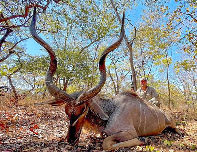 zambia-393