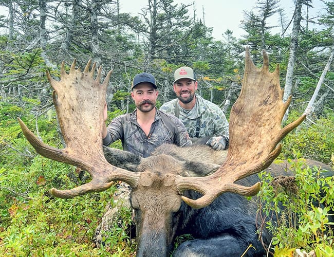 newfoundland-11