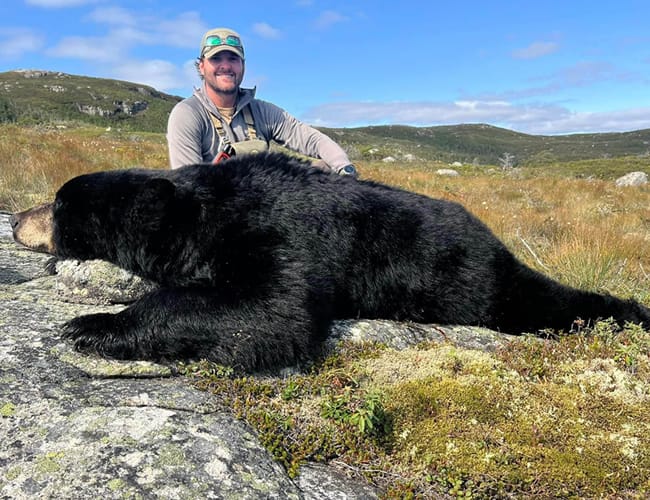 newfoundland-13