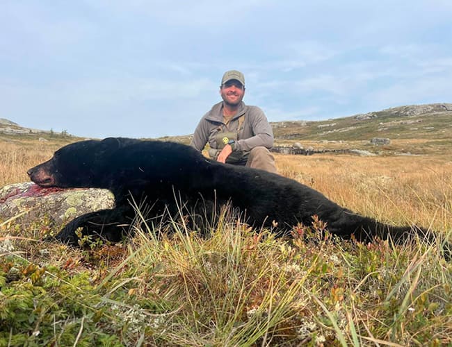 newfoundland-14