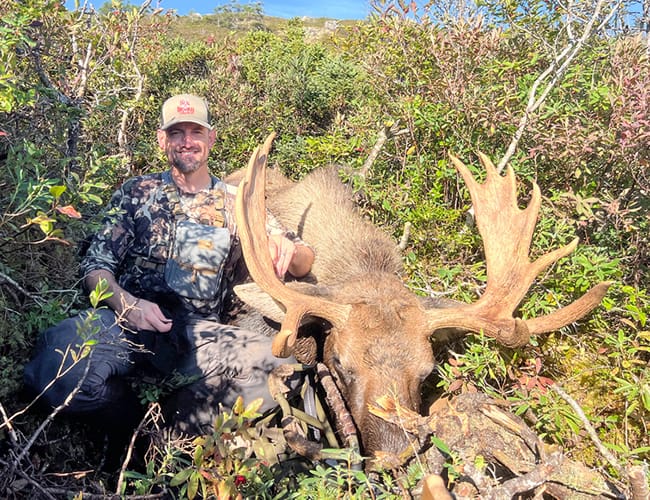 newfoundland-15