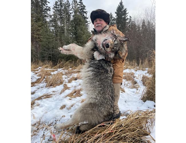 alberta-46