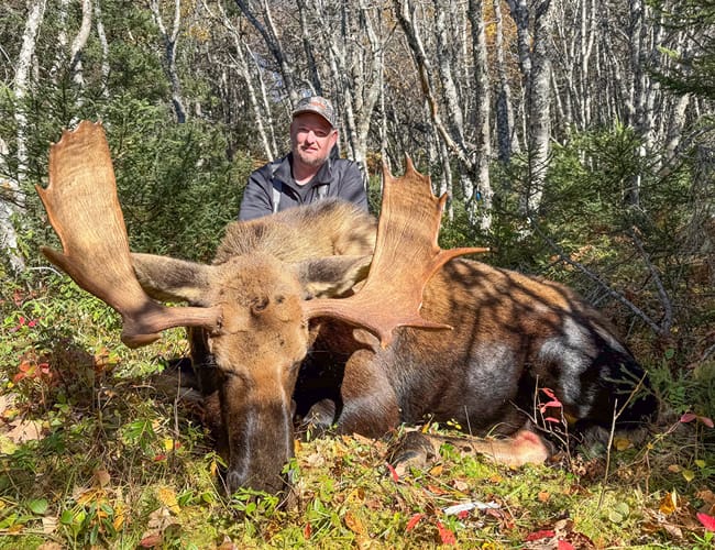newfoundland-17