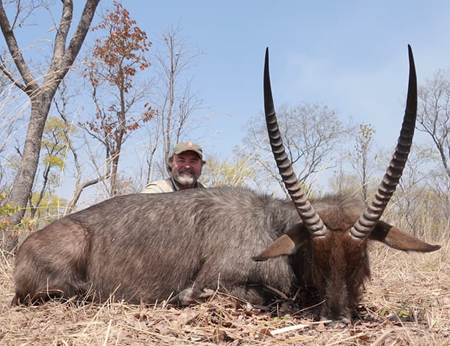 zambia-464