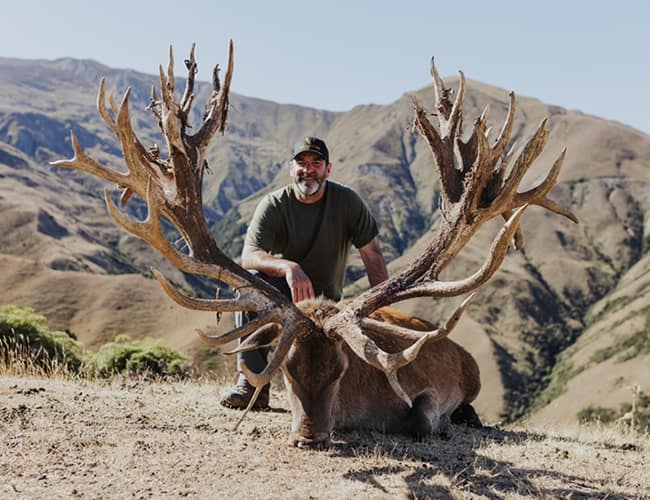 new-zealand-56