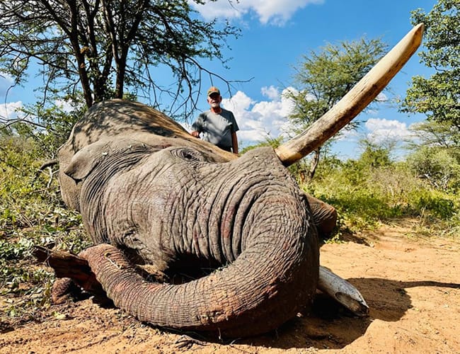 botswana-131