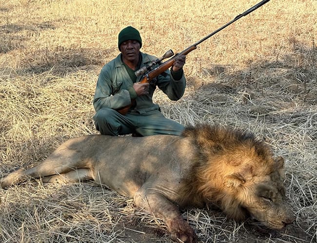 zambia-480