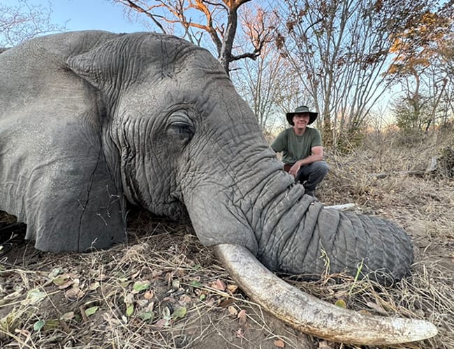 zimbabwe-98