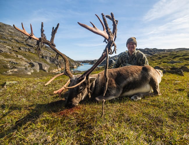 greenland-13