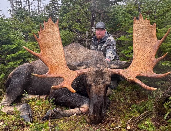 newfoundland-19