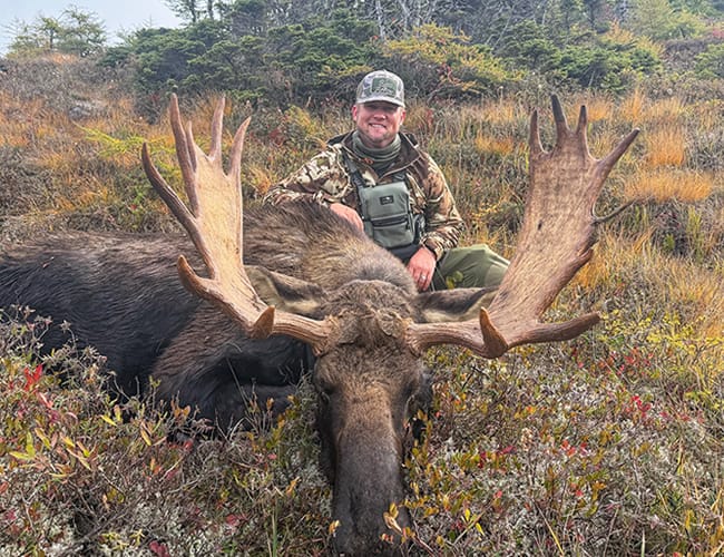 newfoundland-22