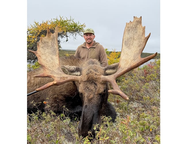 newfoundland-23