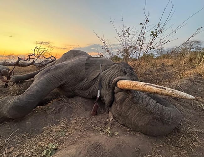zambia-498