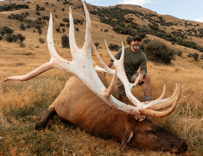 new-zealand-63