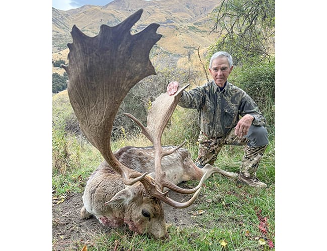 new-zealand-76