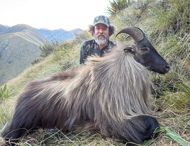 new-zealand-79