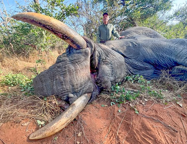 zimbabwe-114